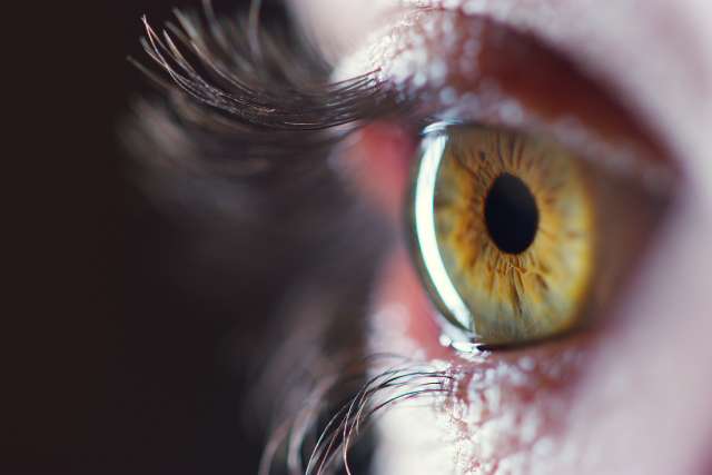 Close up of human eye