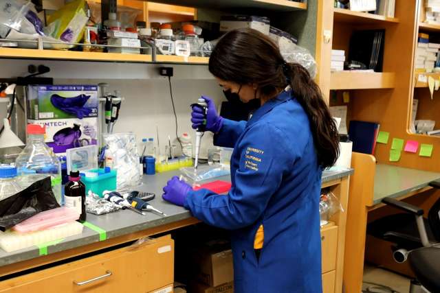 Lab member with pipette 