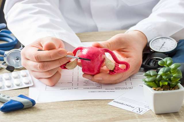 Person in a white coat holding a pink anatomical uterus model and pointing at it with a tool, with medical items on a desk.