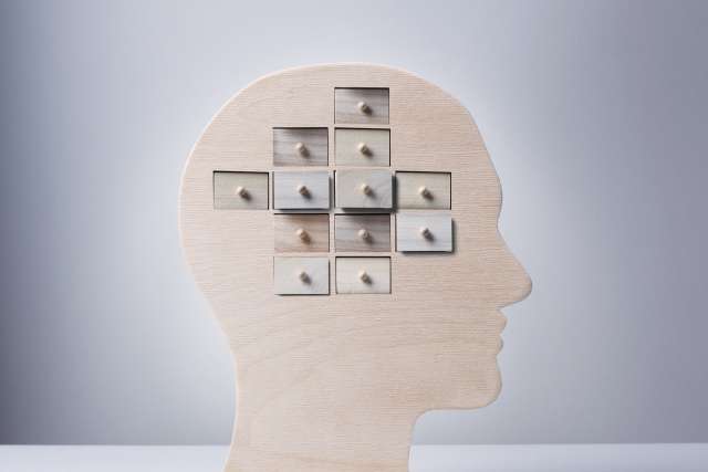 Wooden human head silhouette with nine small square drawers arranged like a brain