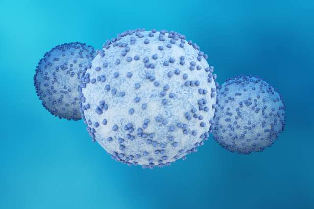 pancreatic cancer cells
