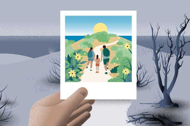Illustration showing nature before and after wildfires