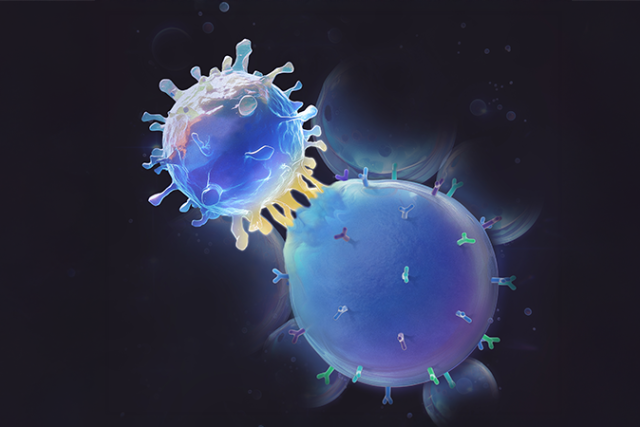 SynVAC activating a T-cell