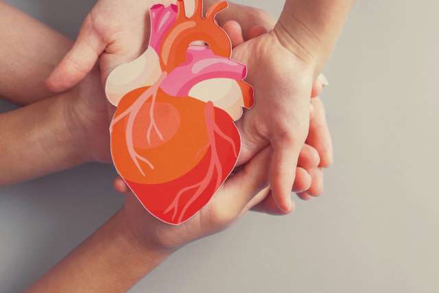 heart