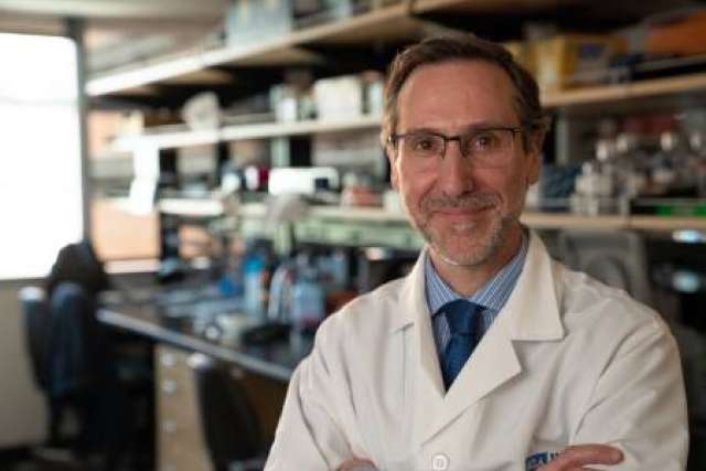 Dr. Antoni Ribas