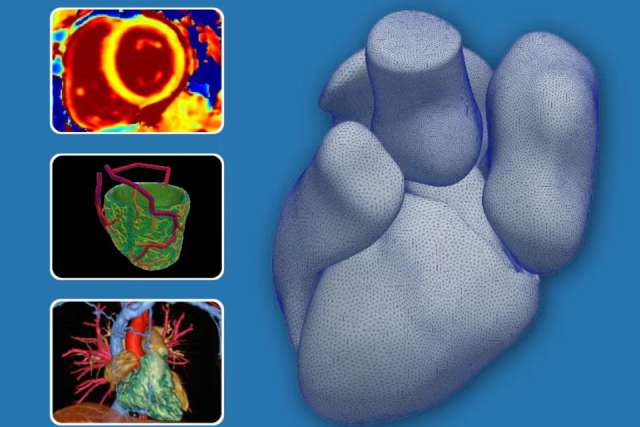 Blue-gray 3D paw-like model with three colorful medical scan thumbnails on the left