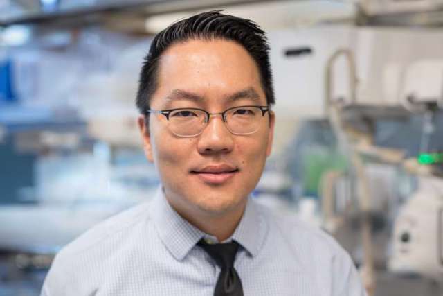 John K. Lee PhD