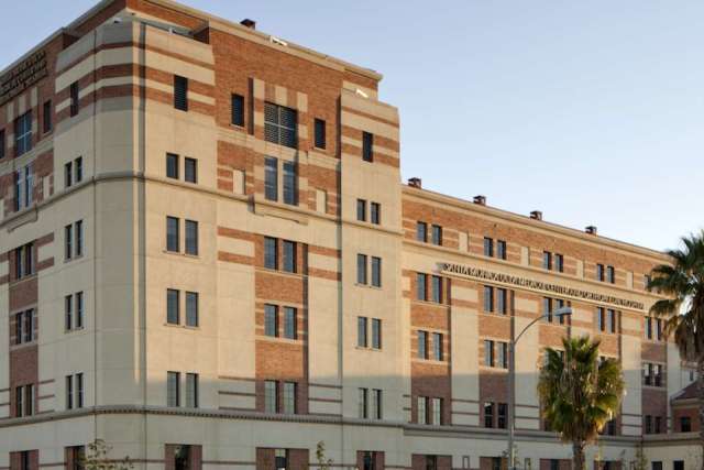 Orthopaedic Surgery