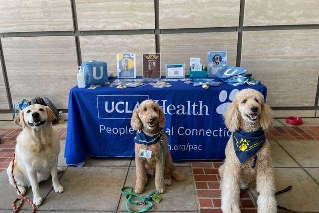 Harlow, Hamilton, and Kennedy at Ronald Reagan Pet Visit Station