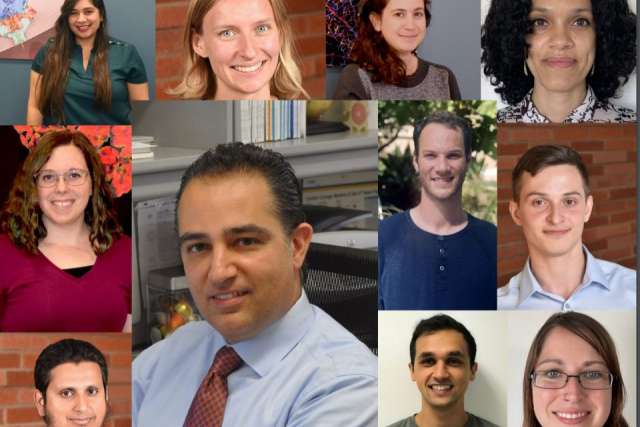 group collage of the Vascular Biology Training Team