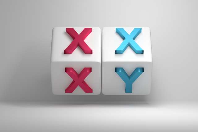 Blocks showing XX and XY chromosomes representing male and female