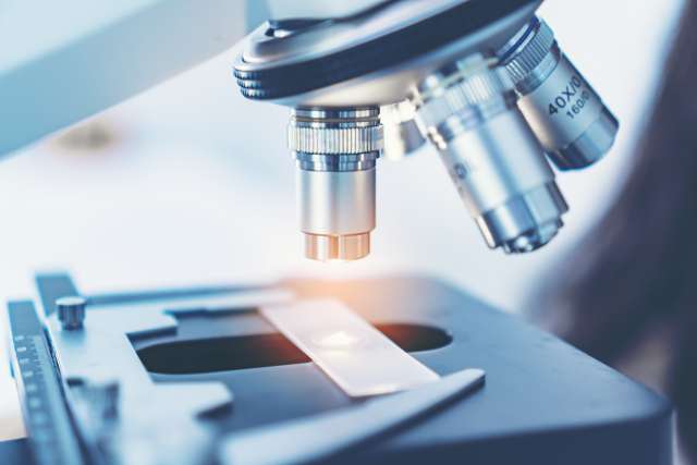 Microscope and slide