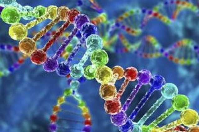 http://cms.ipressroom.com.s3.amazonaws.com/173/files/20162/56fc685e299b5010bd005d9c_DNA/DNA_thmb.jpg