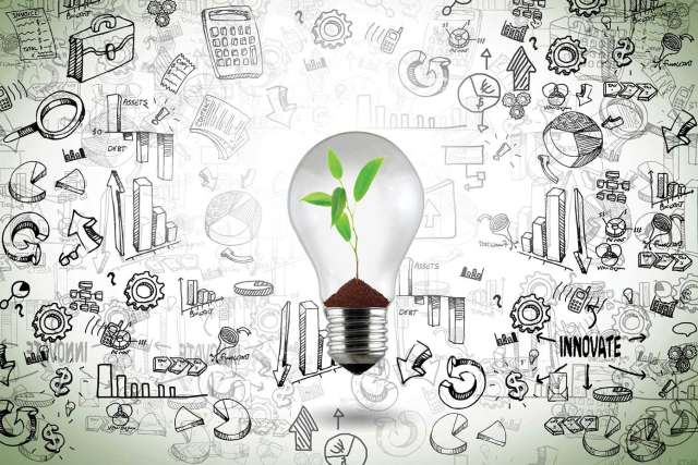 Lightbulb with growing plant inside bulb. In the background there's a lot of black and white hand drawings.