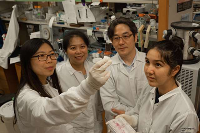 Kamata lab team