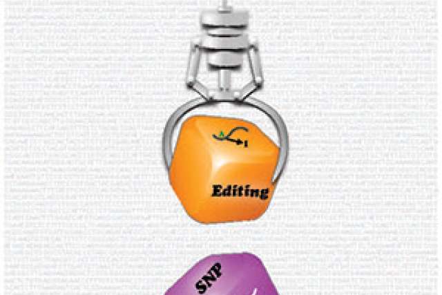 Graphic illustrating a claw machine lifting an orange block labeled "Editing" with colored blocks below.