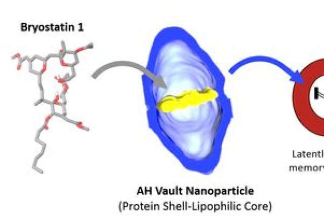 Illustration of Bryostatin 1 interacting with AH Vault Nanoparticle for cancer therapy.