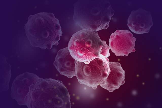 Cluster of cancer cells