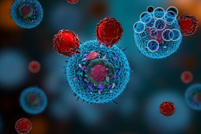 Graphic of T cells attacking cancer cells