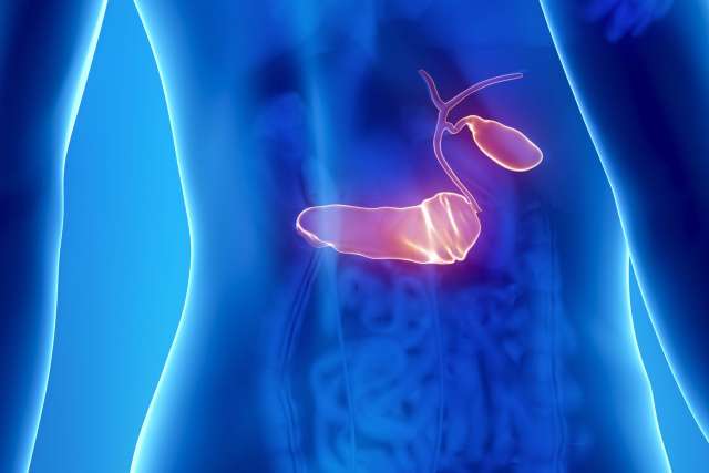 Medical illustration showing the pancreas and gallbladder highlighted inside the human torso with a blue anatomical background.