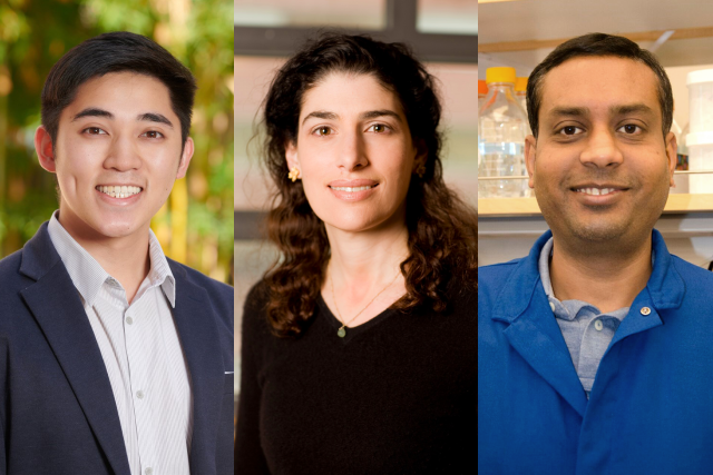 Three UCLA Health researchers smiling for individual portraits, shown in professional settings.