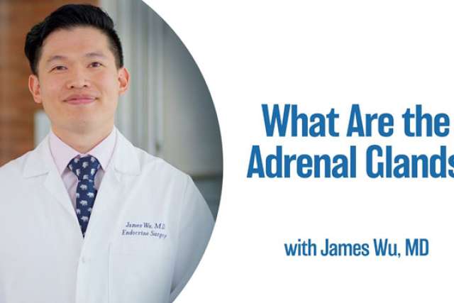 Link to Adrenal Glands