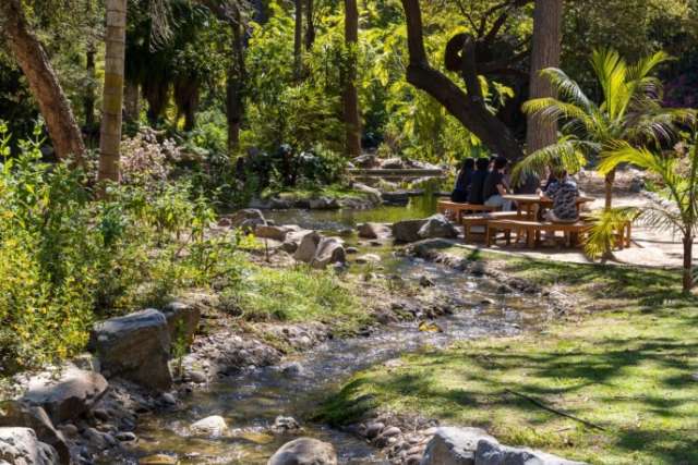 Shallow rocky stream winding through a sunlit garden with trees and grass.