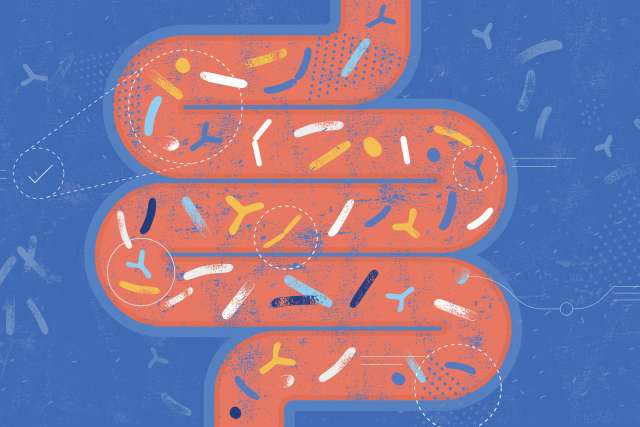 Illustration of microbiome