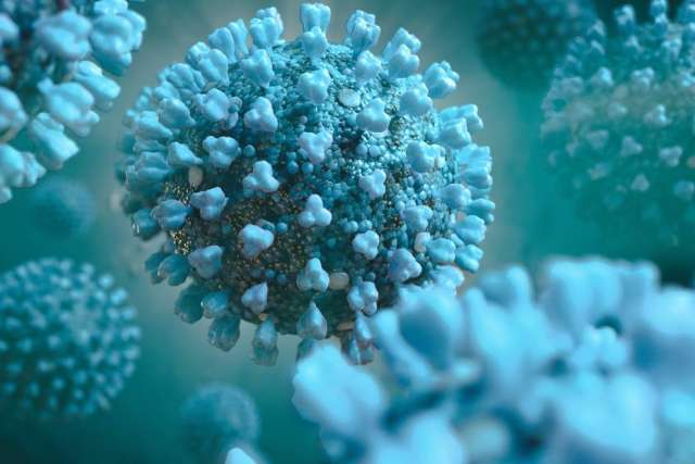 Magnified spiky spherical virus particles
