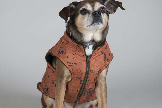 Roscoe