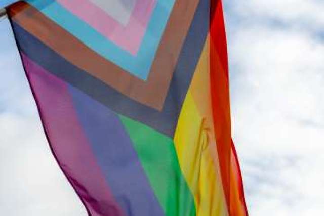 Transgender Diversity Flag