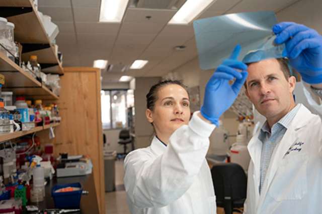 Milica Momcilovic, MD, PhD, and David Shackelford, PhD and PI