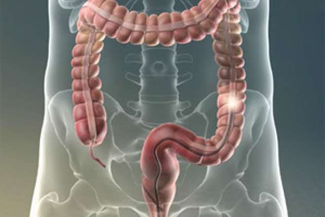 Video Library Gastrointestinal