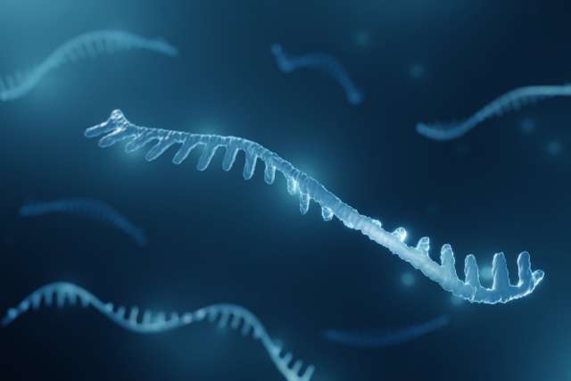 microRNA