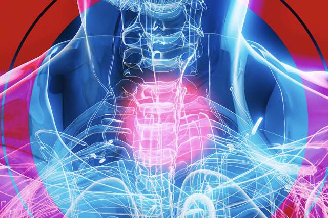Illustration of esophagus