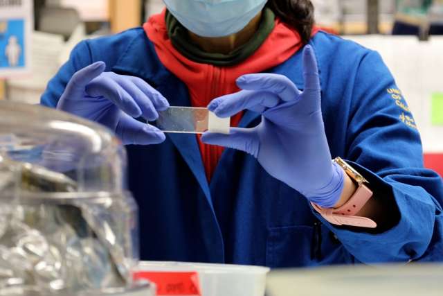 Lab member with tray