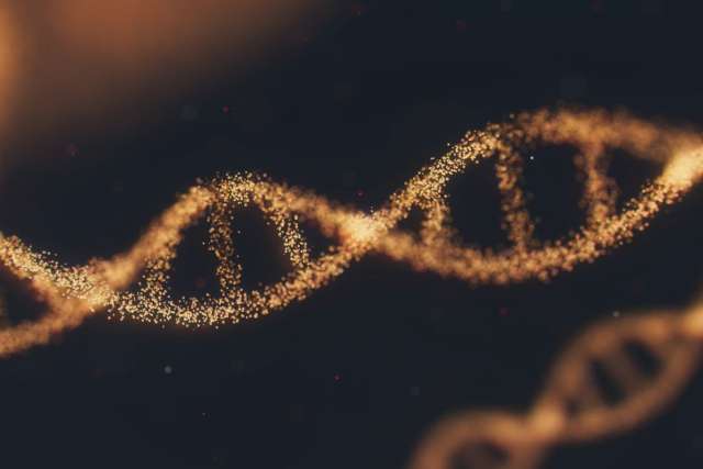 DNA