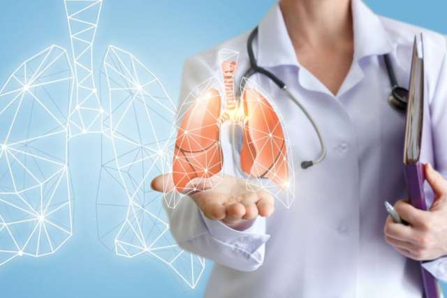 Doctor holding a 3D representation of lungs with a stethoscope and folder.