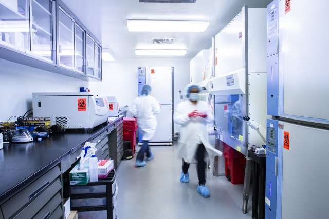 A laboratory at UCLA's current good manufacturing practices facility