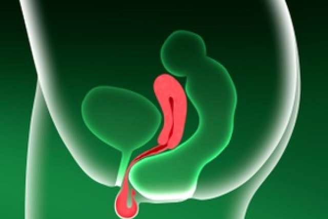 Video Library Obstetrics/Gynecology