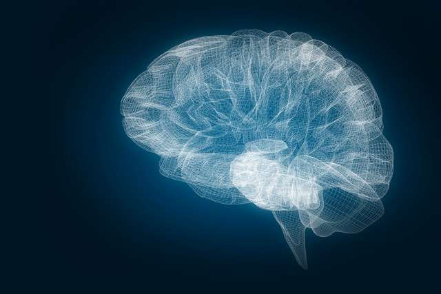 Brain rendering