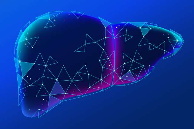 Liver research