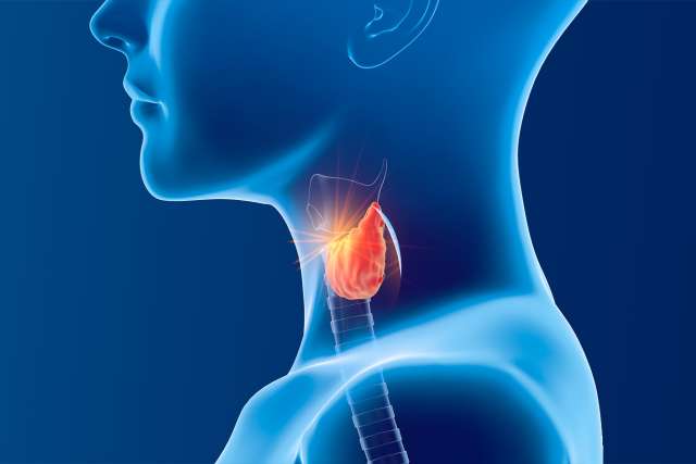 Endocrinology - Thyroid image