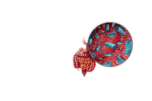 Illustration of microbiome and gut