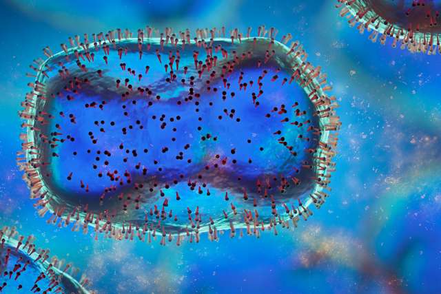 Monkeypox virus under microscope