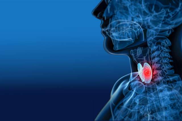 Thyroid gland