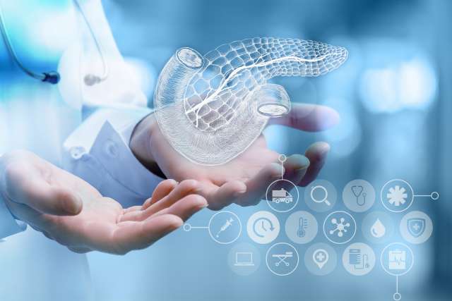 A doctor showing a diagram of the pancreas