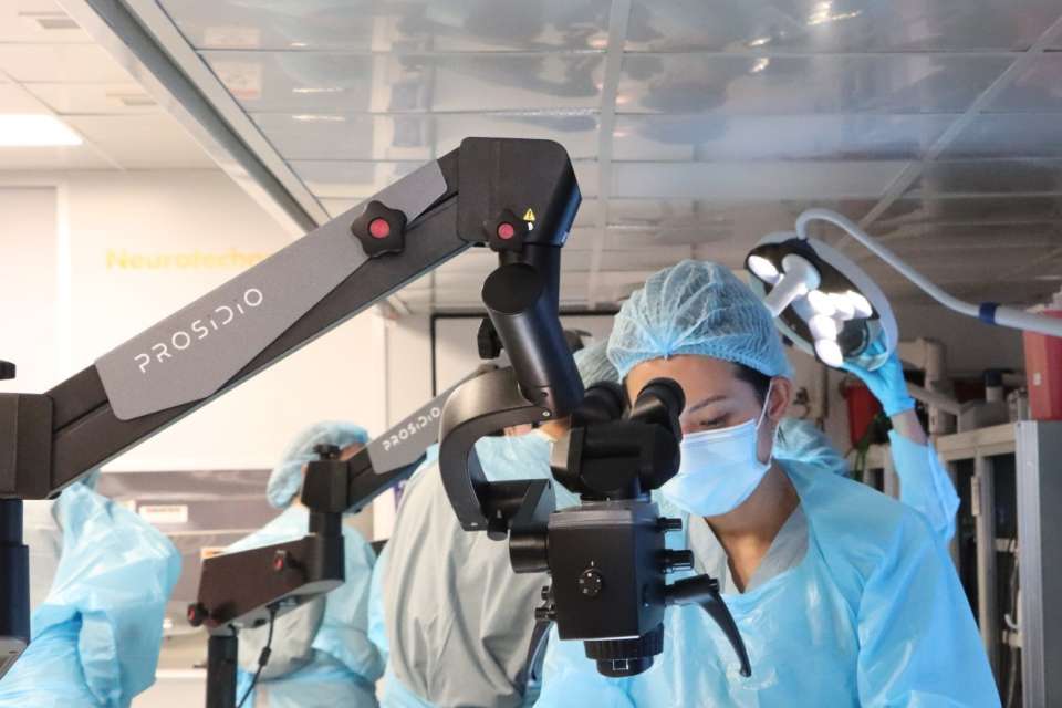 Lab Diana Chang