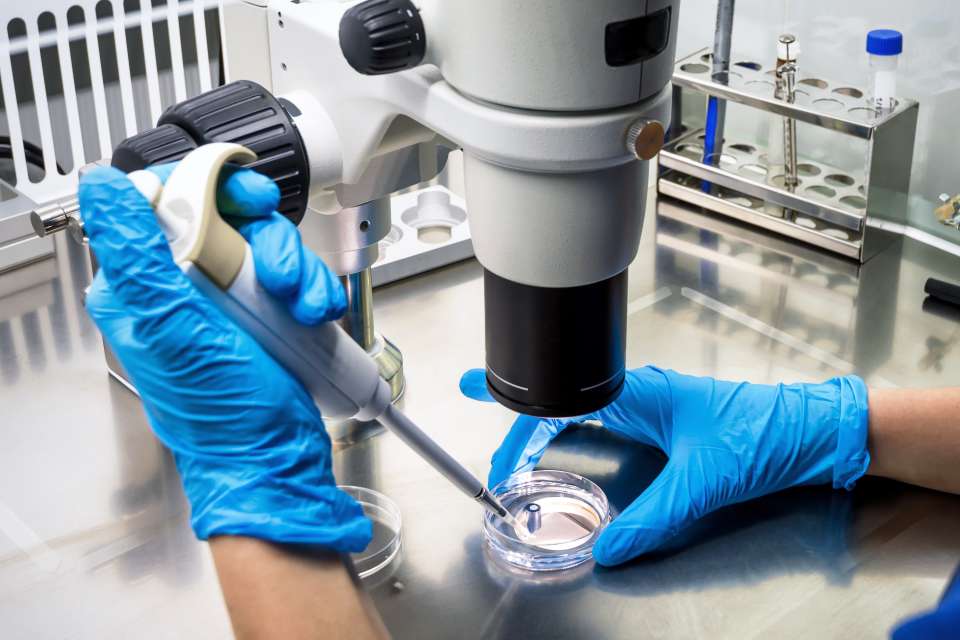 Person working at a microscope