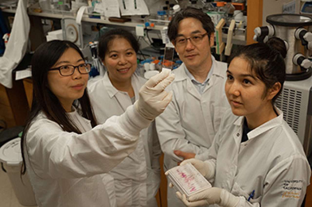 Kamata lab team